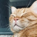 Светлана Коваленко