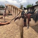 Рабия Закарьяева