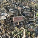 Мари Вишневская