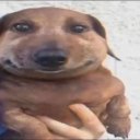 Валерия Безлысюк