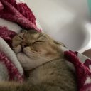 Даниил Сафонов