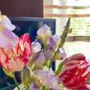 Мария Терещенкова