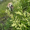 Анастасия Горелова