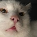 Nastassiya Poplavskaya