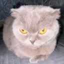 Дарья Серёжкина