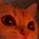 Виктория Лис