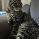 Анастасия К