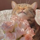 Елизавета Ма