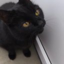 Дарья Павлюченко