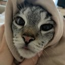 Маргарита Поневежская