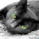 Марина Коломенская