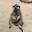 Евгения Свергун