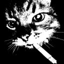 Игорь Игорь