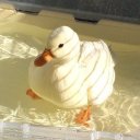 Гений Миллиардер