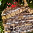 Елена Скоробогатова