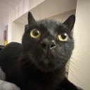 Анастасия Харькова