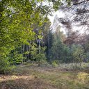 Дарья Савчук