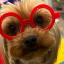 Виктория Просто