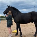 Александра Локтева