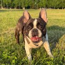 Микки Микусиковна