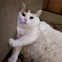 Анастасия Багатая